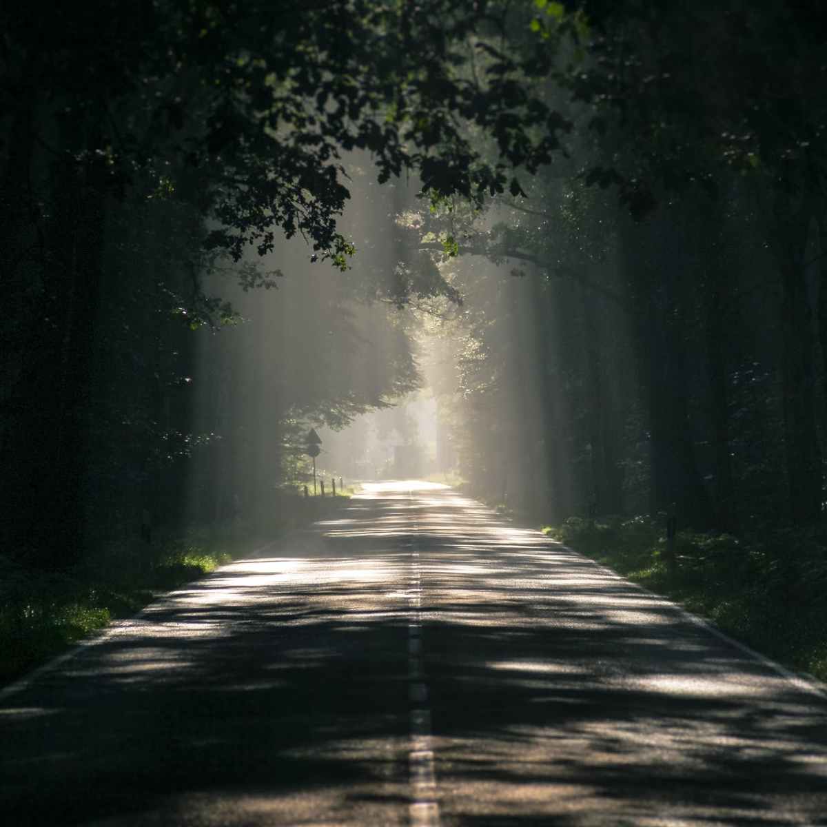 Love that Drives Out&nbsp;Fear